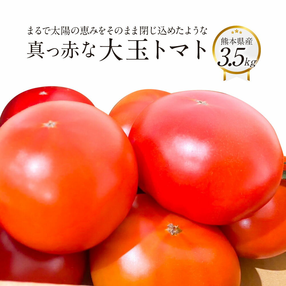 【ふるさと納税】まるで太陽の恵みをそのまま閉じ込めたような真っ赤な 大玉トマト 3.5kg×1箱 熊本県産トマト 高糖度 野菜 熊本産 九州 熊本県 送料無料 【2026年1月下旬発送開始】
