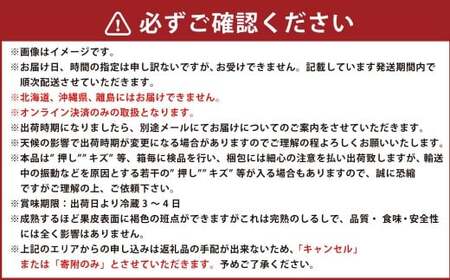 ぶどう 2024年 先行予約 シャイン マスカット ［晴王］2房入り（1房 580g以上 加温栽培）つる付き ブドウ 葡萄  岡山県産 国産 フルーツ 果物 ギフト