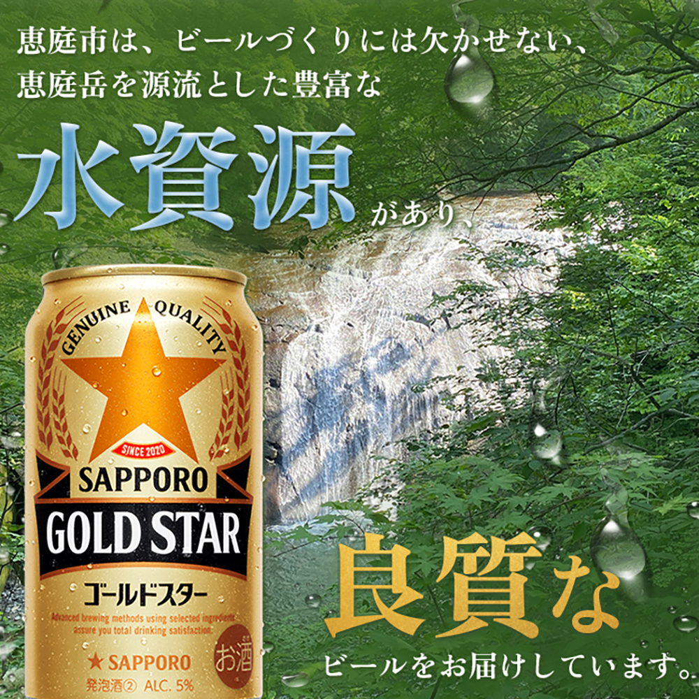『定期便：全6回』 GOLDSTAR350ml×24本 ゴールドスター【300086】