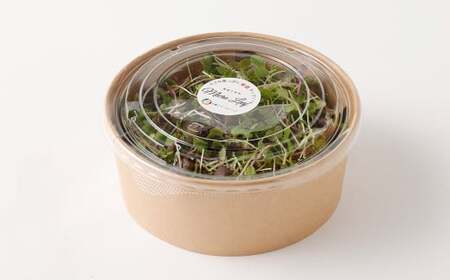 【6回定期便】 マイクロリーフミックス 1回あたり約140g（70g×2個）合計 約840g サラダ 野菜 大分県 九重町産 定期便
