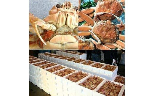 103.【活】鳥取県産 セコガニ 訳あり 良品 2kg※2025年11月上旬～12月下旬頃に順次発送予定◇