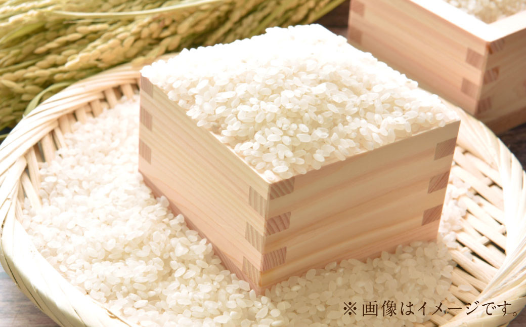 雪若丸〈令和6年産〉 約10kg（約5kg×2袋セット） 