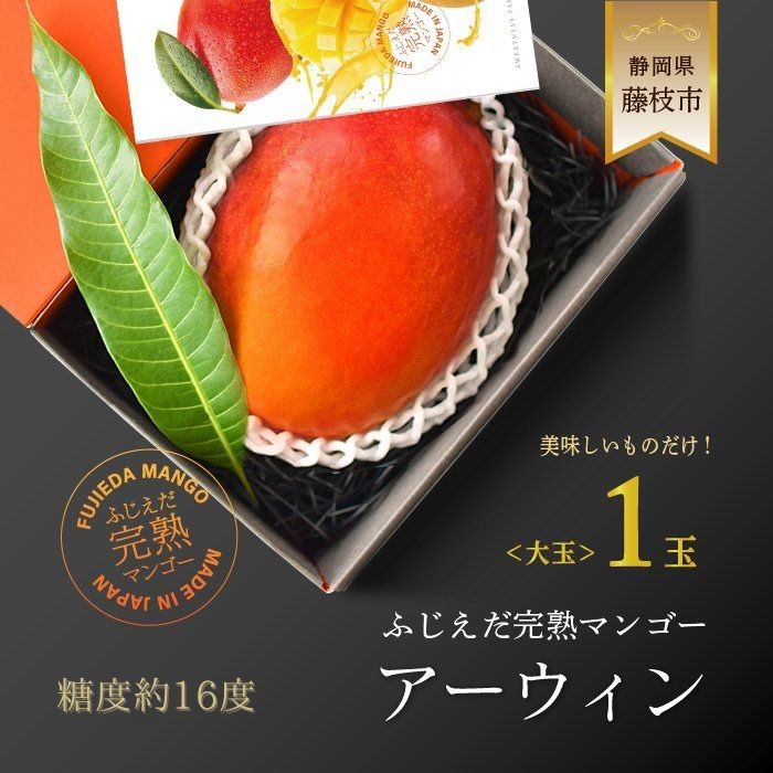
                  【2026 夏発送】 ふじえだ完熟 マンゴー「 アーウィン 大玉１玉 」糖度約16度  数量限定 果物 国産 フルーツ  トロピカルフルーツ 静岡県 藤枝市 ふるさとおすすめ ふるさと納税 送料無料 特産品 大玉 くだもの
                