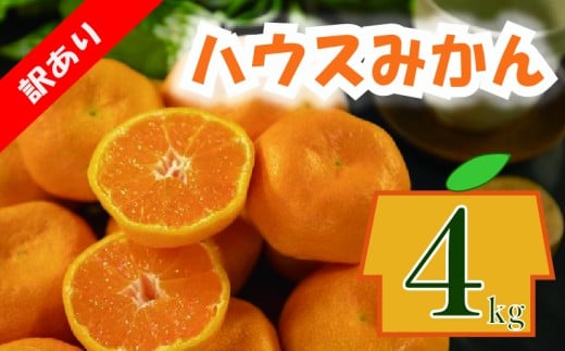訳あり ハウスみかん 約4kg | 柑橘 果物 フルーツ 不揃い 傷あり ワケアリ 訳アリ 愛媛県産 温室みかん 甘い 蜜柑 mikan 薄皮 ジューシー 詰め合わせ 家庭用 人気 お取り寄せ 愛媛県 松山市