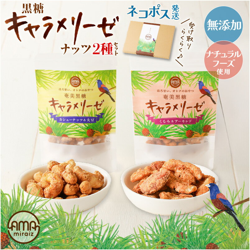 【ふるさと納税】【12/21入金まで年内発送】 黒糖キャラメリーゼ ナッツ 2種 セット 6袋 キャラメリゼ 黒糖 菓子 お菓子 くるみ アーモンド カシューナッツ 大豆 おつまみ つまみ おやつ ネコポス ポスト投函 奄美らいず -Shima-Do 鹿児島 鹿児島市 おすすめ ランキング