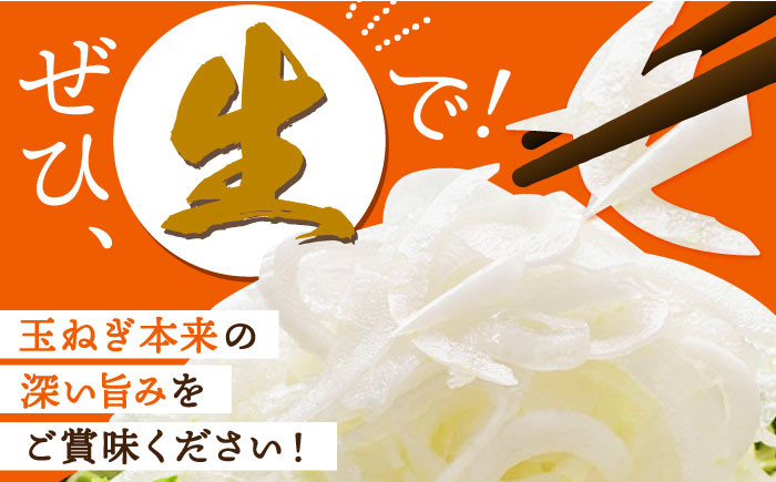 【毎日のお料理に】玉ねぎ タマネギ 江北町産 たまねぎ 約6kg