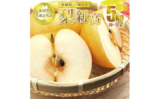 新高 5kg 10～12個【茨城県共通返礼品 石岡市】 ※2025年10月～10月下旬頃に順次発送予定