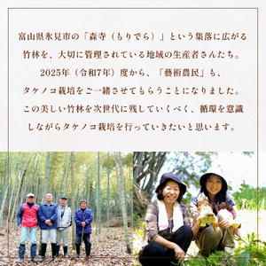 富山県産 旬の 天然 タケノコ 3kg 朝掘り 採れたて発送 ＜農薬・化学肥料・除草剤不使用＞ 富山県 氷見市 筍 たけのこ 朝掘り 産地直送