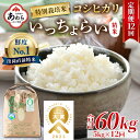 【ふるさと納税】【令和6年産 新米】【一等米】《定期便12回》特別栽培米 いっちょらい 精米 5kg（計60kg）／ 福井県産 ブランド米 コシヒカリ ご飯 白米 新鮮 大賞 受賞 12ヶ月