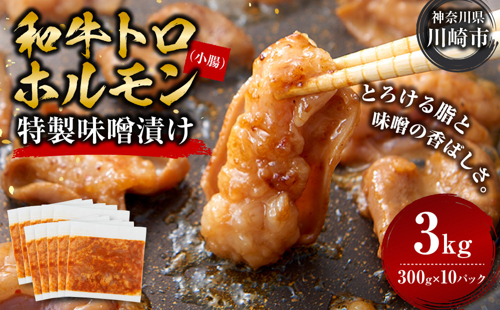 ＜訳アリ＞和牛トロホルモン　特製味噌漬け　3kg(300g×10）【2026年10月発送】 141305_KZ41VC10