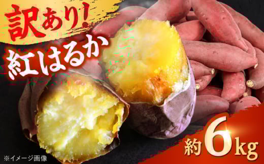 【先行予約】 【訳あり】 【数量限定】 紅はるか さつまいも 約6kg 1箱 【Shiro Planning 株式会社】 [AYAJ002]