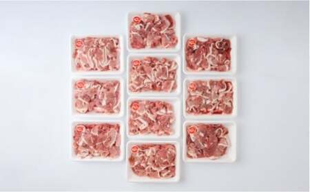 【定期便3ヶ月】和豚もちぶた 切り落し4キロセット（400g×10パック） ｜ 豚肉※着日指定不可