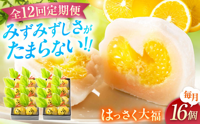 
            【全12回定期便】お菓子 はっさく大福8個入×2  お菓子 大福 八朔 柑橘 みかん オレンジ 餅 ギフト お取り寄せ スイーツ フルーツ大福 ご当地 菓子 おかし デザート 食品 人気 おすすめ 和菓子 国産 白あん 個包装 贈答用 ギフト 逸品 定期便 広島県福山市/株式会社虎屋本舗[BADH028]
          