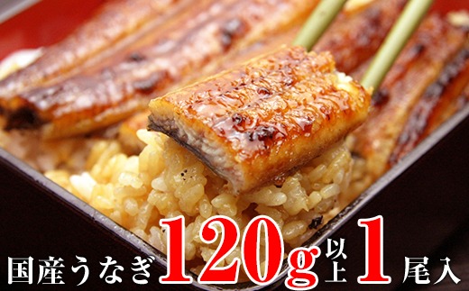1001.国産うなぎ蒲焼き120g1本セット(A1001-1)