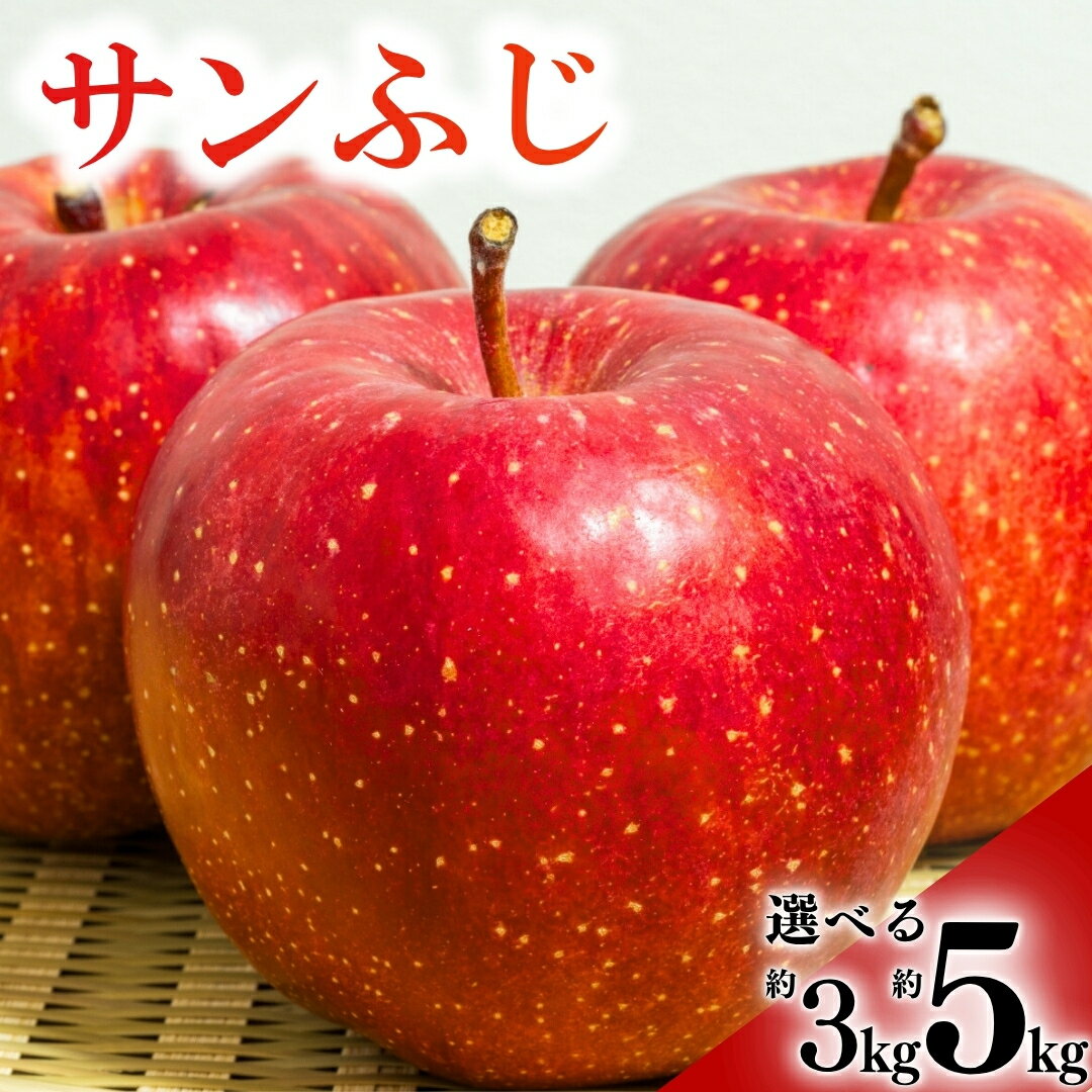 【ふるさと納税】サンふじ りんご 3kg / 5kg|林檎 蜜入り 果物 フルーツ サン ふじ 富士 3kg 5kg 信州林檎 信州りんご 信州 長野 千曲市 送料無料