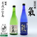 【ふるさと納税】島の地酒！ 【日本酒飲み比べセット】純米 月夜の宝島／純米吟醸 氣 日本酒 飲み比べ プレゼント ギフト 広島県産 江田島市/津田酒造株式会社 [XAK007]