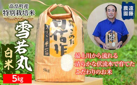 【遠藤農園】令和6年度 山形県高畠町産 特別栽培米 雪若丸 白米 5kg(1袋) 精米 米 お米 おこめ ごはん ブランド米 産地直送 農家直送 F21B-162