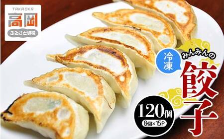 みんみんの餃子120個 （8コ×15パック） 餃子専門店 みんみん みんみん餃子 ギョーザ ぎょうざ ギョウザ 富山 惣菜 おかず 中華 点心 冷凍 冷凍食品 肉加工品 加工品 富山県高岡市