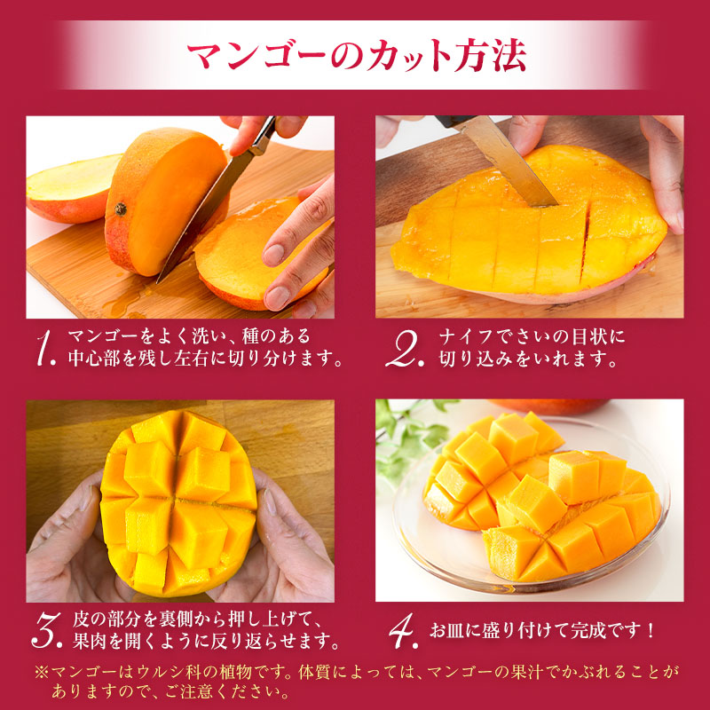 [定期便全4回] 宮崎完熟マンゴー 2Lサイズ 合計4玉 特産 国産 果物 フルーツ 旬 産地直送【E223-27】_イメージ3