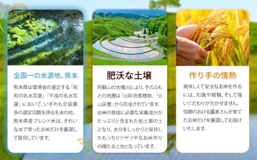 【6ヶ月定期便】 白米 ひのくに米 5kg 《お申込み翌月から出荷》 食品 米 こめ コメ 熊本県産 ふるさと納税 お米 おこめ 熊本