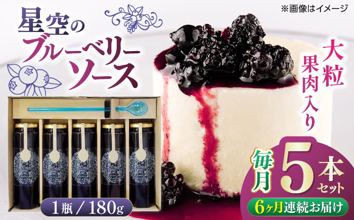 【全6回定期便】星空の ブルーベリーソース 5本セット 180ｇ×5【清和の恵み工房】 [YAA009]