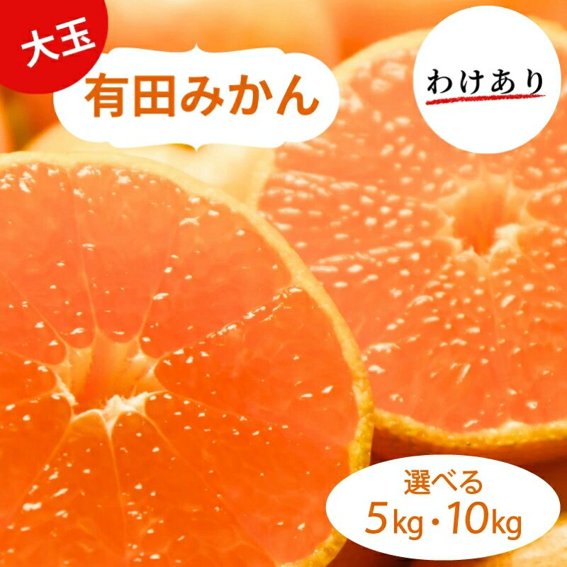 【ふるさと納税】 和歌山県産 有田みかん 大玉 2L 〜 3L 訳あり 選べる容量 5kg 〜 10kg ※2026年10月中旬〜2027年1月中旬頃に順次発送予定（お届け日指定不可) ミカン 柑橘 みかん 有田みかん 和歌山