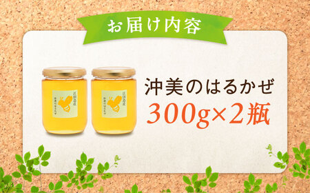 まじりっけなし！江田島産100％!はちみつ『沖美のはるかぜ』300g×2本セット ハチミツ ハニー 蜂蜜 国産 広島県 江田島市/はつはな果蜂園[XCD006]