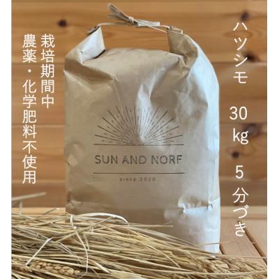 ふるさと納税 養老町 【令和7年産】初霜(源種)5分づき30kg　(栽培期間中農薬・化学肥料不使用)