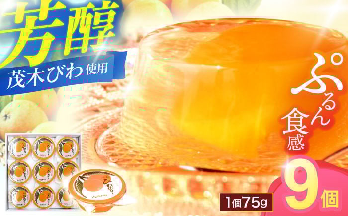 
                  長崎特産「茂木びわゼリー」(9個入り) / びわゼリー ゼリー びわ ビワ 枇杷 / 諫早市 / 橋本屋本舗 [AHCP004]
                