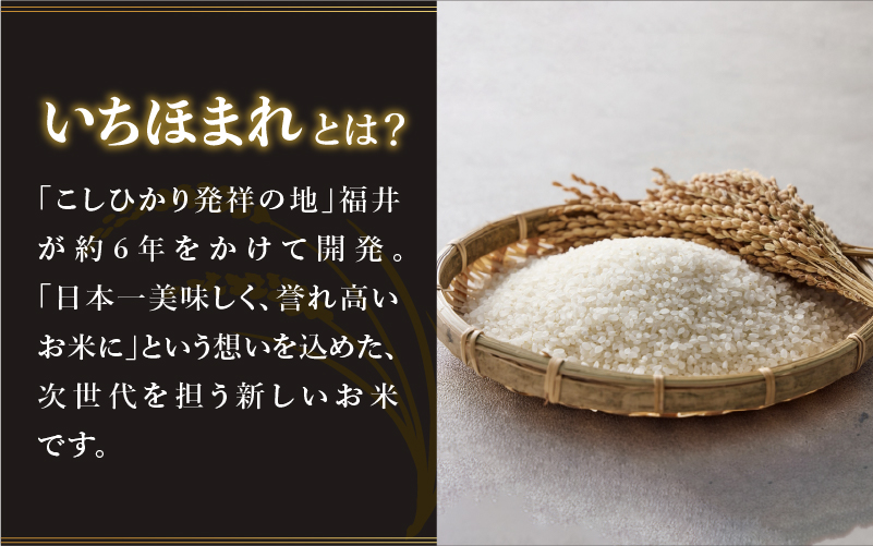 【令和7年産】 いちほまれ 5kg　（5kg × 1袋） 5kg（5kg × 1袋）