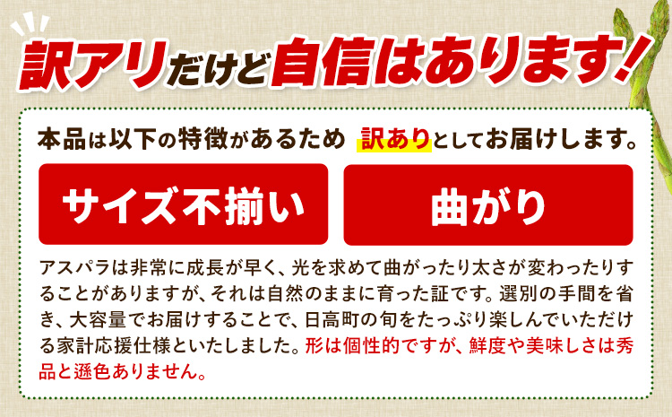アスパラガス 訳あり 1kg JA門別 北海道 日高町産 グリーンアスパラ 春 野菜 朝採り 鮮度抜群 お取り寄せ グルメ 産地直送 農協 太い 甘い 甘み 旬 送料無料 《4月上旬-5月末出荷》