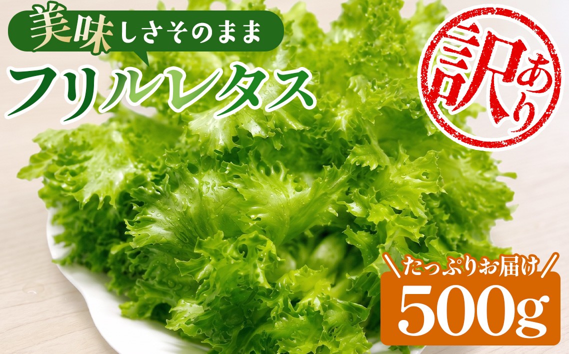 
                  不揃いのレタスたち（フリルレタス）500g×1袋 ／ 野菜 緑黄色野菜 βカロテン シャキシャキ 食感 サラダ 不揃いレタス 野菜 サラダ用 野菜素材 シャキシャキ ふんわり 食感 新鮮 葉物野菜 千葉県 No.014
                