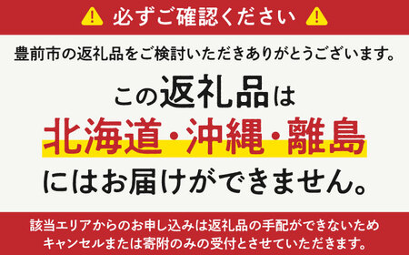 【全6回定期便】【細穴タイプ】トイレットペーパー ダブル 長巻き 65m 6ロール×8パック エコ  コアレス 《豊前市》【大分製紙】[VAA044] トイレットペーパー トイレットペーパーダブル エ