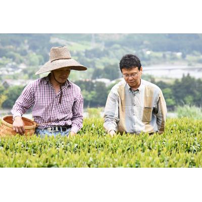 ふるさと納税 焼津市 花香の煎茶 ミルフルール 30g×5袋(a12-046) |  | 01