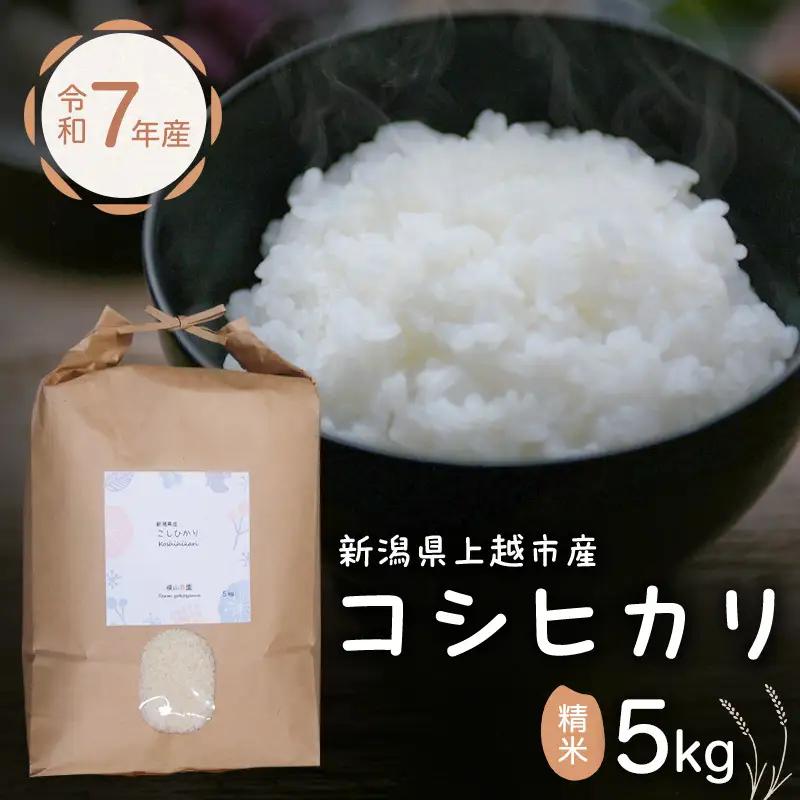 横山農園 コシヒカリ 精米 コシヒカリ 5kg 令和7年産