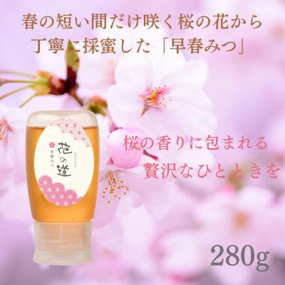 ふるさと納税 八女市 早春みつ　280g(八女市)