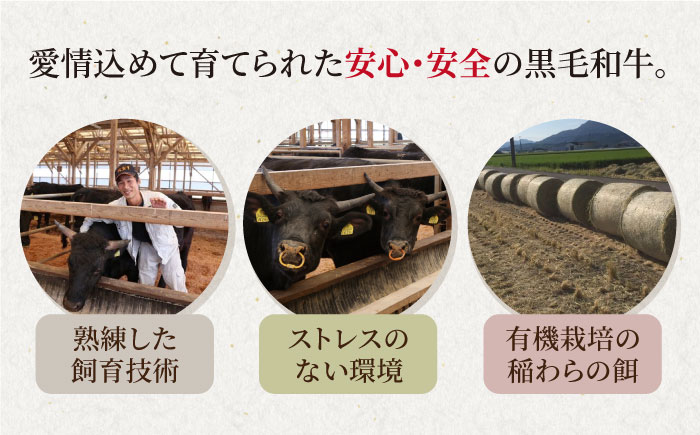 【甘みたっぷりプリプリ食感】佐賀県産黒毛和牛 ホルモン 500g【山下牛舎】 [HAD108]