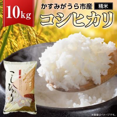 ふるさと納税 那珂市 《 令和7年産 》 コシヒカリ 精米 10kg (茨城県共通返礼品 かすみがうら市)