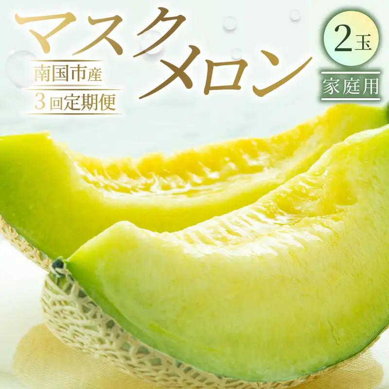 【3回定期便】マスクメロン（家庭用） 2玉入 青肉品種 高級メロン！ ／ マスクメロン 果物 フルーツ ギフト 農家直送 NE1300