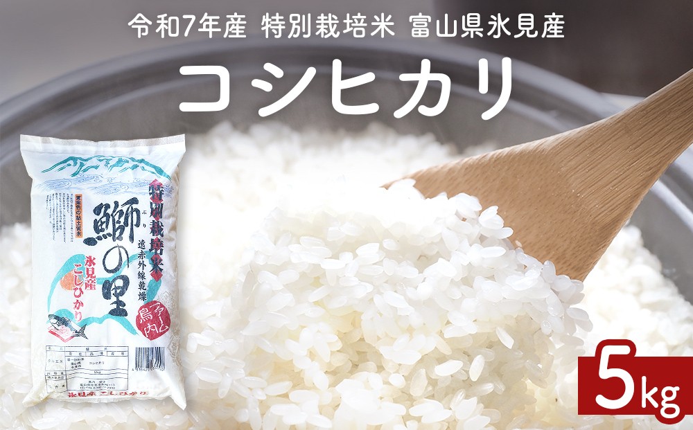 
            〈令和7年産 特別栽培米〉 富山県産コシヒカリ 5kg 鰤の里 白米
          