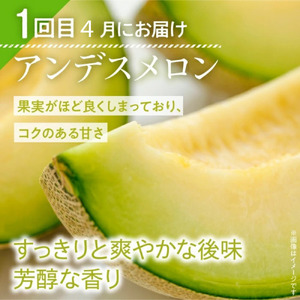 【茨城県メロン品評会赤肉部門最高金賞受賞】山一ファームのメロン『2ヵ月定期便』4月アンデス2玉・5月クインシー2玉