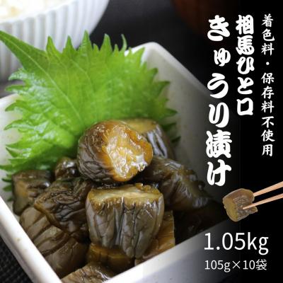 ふるさと納税 南相馬市 相馬ひと口きゅうり漬 1,050g (105g×10袋)【53852-001】