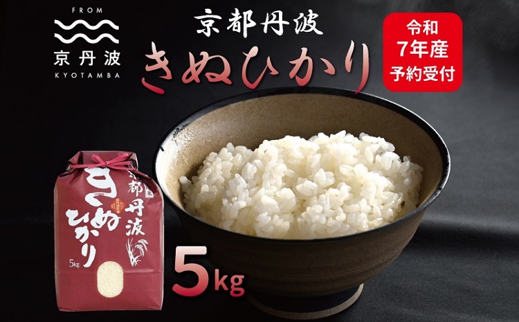 《先行予約》 京丹波きぬひかり 5kg 令和7年産 新米 京都 精米 キヌヒカリ ※北海道・沖縄・その他離島は配送不可 [010MB002]