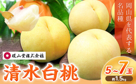 清水白桃 約1.5kg 環山堂株式会社【配送不可地域あり】