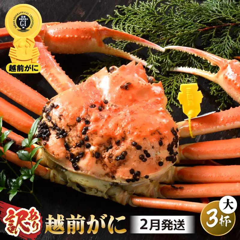 越前蟹 訳あり 茹で 越前ズワイガニ 大 3杯 脚折れ 【2月発送分】 [O-1403_02]