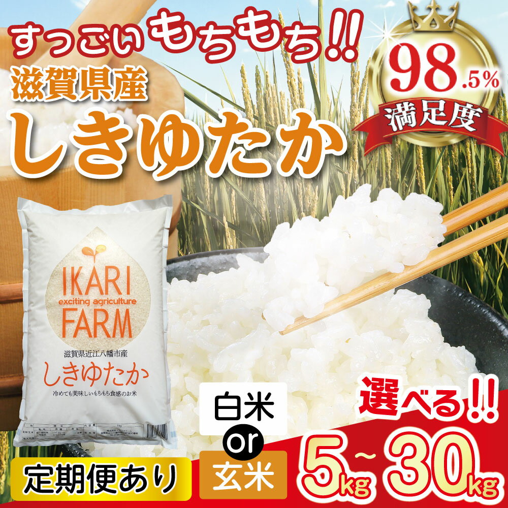 【ふるさと納税】令和7年産 すっごいもちもち 「しきゆたか」 近江米 5kg / 10kg / 30kg 定期便 選べる 国産 滋賀県産 白米 / 玄米