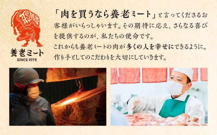 飛騨牛 ロースまたは肩ロース すき焼き しゃぶしゃぶ 両用 1kg 瑞浪市 / 養老ミート 冷凍 スライス 和牛 ギフト [AZDB011]