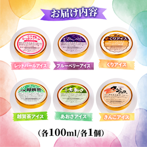アイス 6個×100ml 詰め合わせセット | アイスクリーム