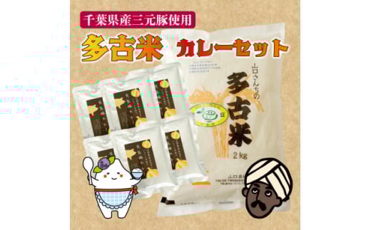 ご飯にはやっぱりカレー!「多古米コシヒカリ2kg」と「元気豚カレー200g×6」セット【1491084】