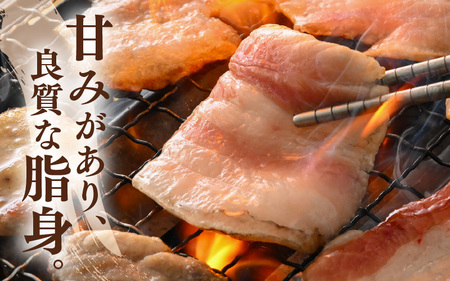 「福井県ブランド豚」ふくいポーク バラ焼肉 2.4kg（300g × 8パック）【 銘柄豚肉  豚ばら肉   国産豚肉 福井県産 ポーク 焼き肉 おかず 夕食 キャンプ飯 ぶたにく  使い勝手抜群  